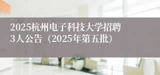 2025杭州电子科技大学招聘3人公告(2025年第五批)