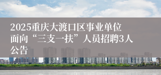 2025重庆大渡口区事业单位面向“三支一扶”人员招聘3人公告