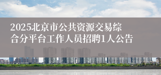 2025北京市公共资源交易综合分平台工作人员招聘1人公告
