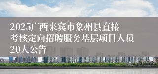 2025广西来宾市象州县直接考核定向招聘服务基层项目人员20人公告