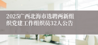 2025广西北海市选聘两新组织党建工作组织员32人公告
