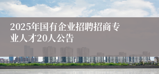 2025年国有企业招聘招商专业人才20人公告