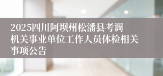 2025四川阿坝州松潘县考调机关事业单位工作人员体检相关事项公告