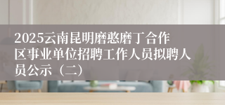 2025云南昆明磨憨磨丁合作区事业单位招聘工作人员拟聘人员公示（二）
