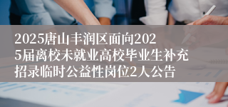 2025唐山丰润区面向2025届离校未就业高校毕业生补充招录临时公益性岗位2人公告