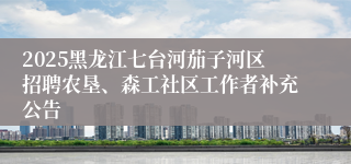 2025黑龙江七台河茄子河区招聘农垦、森工社区工作者补充公告