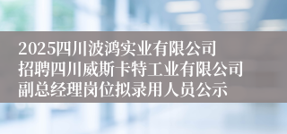 2025四川波鸿实业有限公司招聘四川威斯卡特工业有限公司副总经理岗位拟录用人员公示