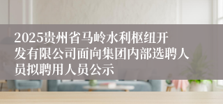 2025贵州省马岭水利枢纽开发有限公司面向集团内部选聘人员拟聘用人员公示