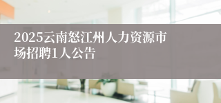 2025云南怒江州人力资源市场招聘1人公告