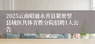 2025云南昭通永善县紧密型县域医共体青胜分院招聘1人公告
