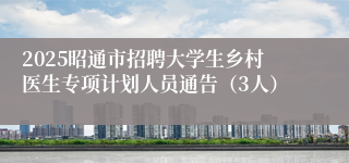 2025昭通市招聘大学生乡村医生专项计划人员通告（3人）