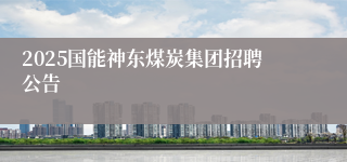 2025国能神东煤炭集团招聘公告