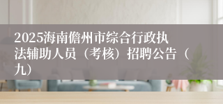 2025海南儋州市综合行政执法辅助人员（考核）招聘公告（九）