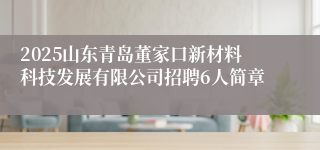 2025山东青岛董家口新材料科技发展有限公司招聘6人简章