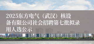 2025东方电气（武汉）核设备有限公司社会招聘第七批拟录用人选公示
