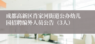 成都高新区肖家河街道公办幼儿园招聘编外人员公告（3人）
