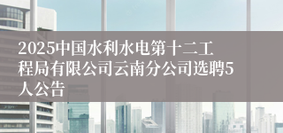 2025中国水利水电第十二工程局有限公司云南分公司选聘5人公告