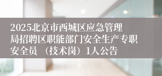 2025北京市西城区应急管理局招聘区职能部门安全生产专职安全员 （技术岗）1人公告