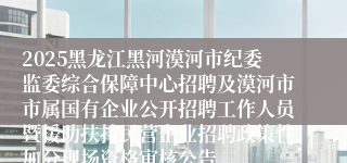 2025黑龙江黑河漠河市纪委监委综合保障中心招聘及漠河市市属国有企业公开招聘工作人员暨援助扶持民营企业招聘政策性加分现场资格审核公告