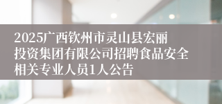 2025广西钦州市灵山县宏丽投资集团有限公司招聘食品安全相关专业人员1人公告