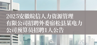 2025安徽皖信人力资源管理有限公司招聘外委宿松县某电力公司预算员招聘1人公告