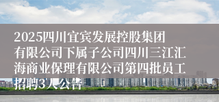 2025四川宜宾发展控股集团有限公司下属子公司四川三江汇海商业保理有限公司第四批员工招聘3人公告