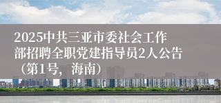 2025中共三亚市委社会工作部招聘全职党建指导员2人公告（第1号，海南）