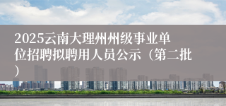 2025云南大理州州级事业单位招聘拟聘用人员公示（第二批）