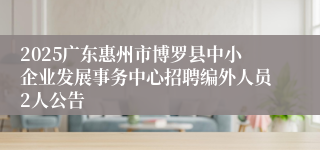 2025广东惠州市博罗县中小企业发展事务中心招聘编外人员2人公告