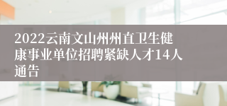 2022云南文山州州直卫生健康事业单位招聘紧缺人才14人通告