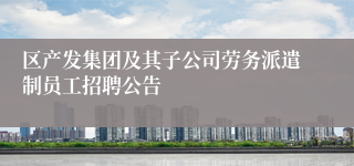 区产发集团及其子公司劳务派遣制员工招聘公告