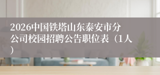 2026中国铁塔山东泰安市分公司校园招聘公告职位表（1人）
