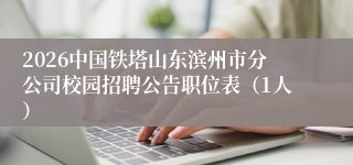 2026中国铁塔山东滨州市分公司校园招聘公告职位表（1人）