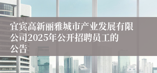 宜宾高新丽雅城市产业发展有限公司2025年公开招聘员工的公告