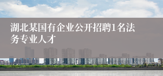 湖北某国有企业公开招聘1名法务专业人才