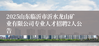 2025山东临沂市沂水龙山矿业有限公司专业人才招聘2人公告