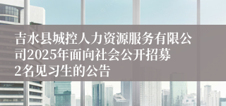 吉水县城控人力资源服务有限公司2025年面向社会公开招募2名见习生的公告
