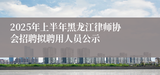 2025年上半年黑龙江律师协会招聘拟聘用人员公示