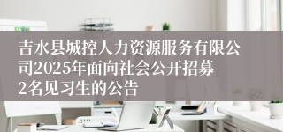 吉水县城控人力资源服务有限公司2025年面向社会公开招募2名见习生的公告 