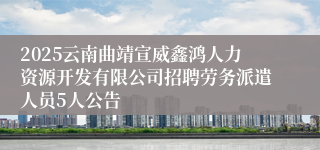 2025云南曲靖宣威鑫鸿人力资源开发有限公司招聘劳务派遣人员5人公告