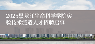2025黑龙江生命科学学院实验技术派遣人才招聘启事