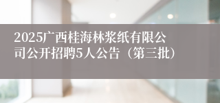 2025广西桂海林浆纸有限公司公开招聘5人公告（第三批）
