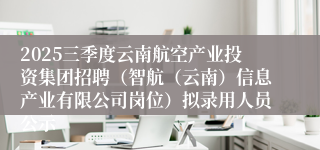 2025三季度云南航空产业投资集团招聘（智航（云南）信息产业有限公司岗位）拟录用人员公示