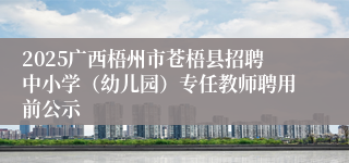 2025广西梧州市苍梧县招聘中小学（幼儿园）专任教师聘用前公示
