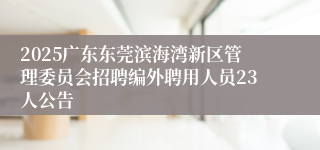2025广东东莞滨海湾新区管理委员会招聘编外聘用人员23人公告