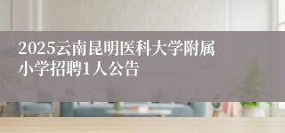 2025云南昆明医科大学附属小学招聘1人公告