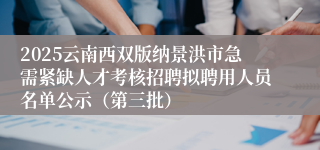 2025云南西双版纳景洪市急需紧缺人才考核招聘拟聘用人员名单公示(第三批)