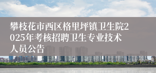 攀枝花市西区格里坪镇卫生院2025年考核招聘卫生专业技术人员公告