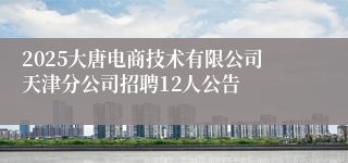 2025大唐电商技术有限公司天津分公司招聘12人公告
