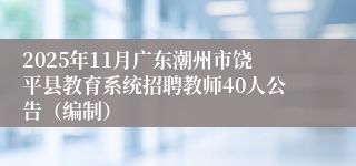 2025年11月广东潮州市饶平县教育系统招聘教师40人公告(编制)